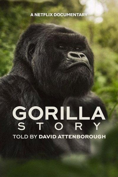 A Gorilla Story Told by David Attenborough