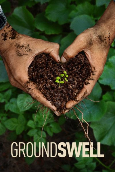 Groundswell 2026 Online